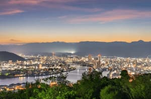 Beyond the Backwaters: Why Kochi is the Ultimate All-Rounder Getaway