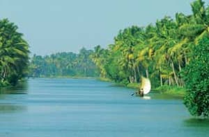 The Alappuzha Most People: Miss 12 Hidden Gems & Local Secrets