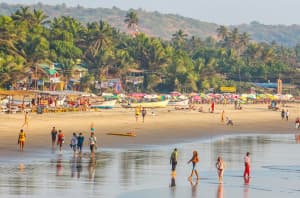 Unveiling the Magic of Goa After Dark. The Ultimate Nightlife Guide