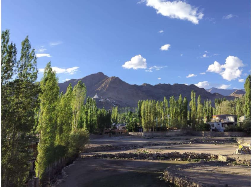 Hotel Malik Residency - Image 4