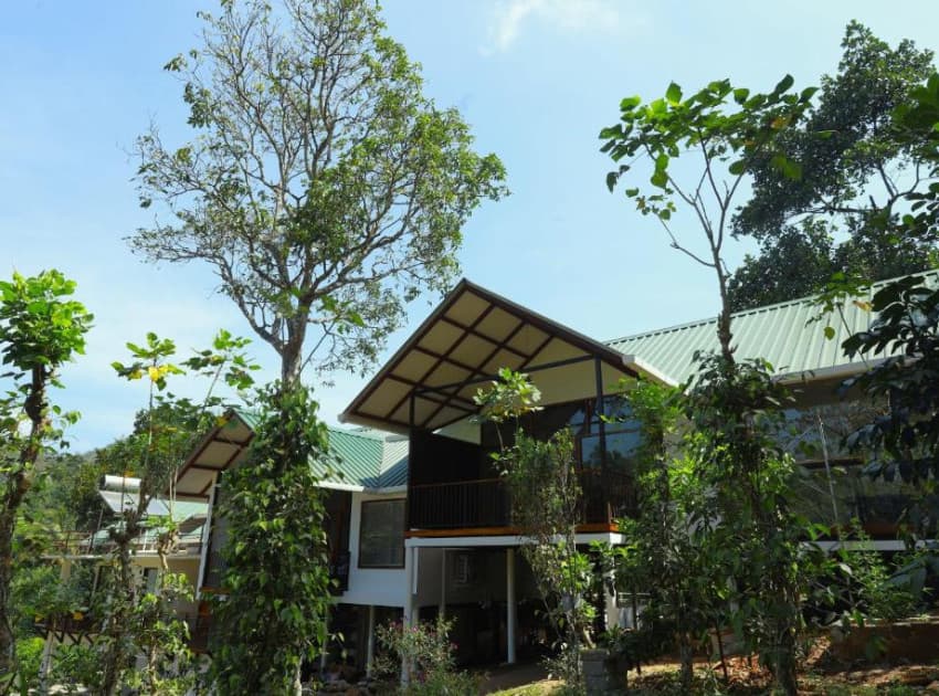Coffee and Pepper Plantation Homestay - Image 2