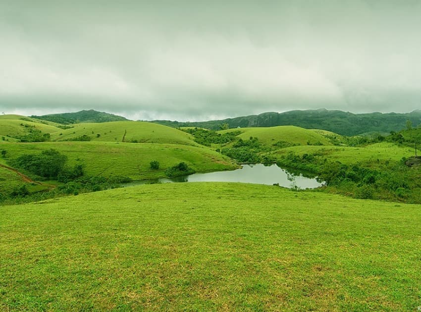Find Hotels in Vagamon