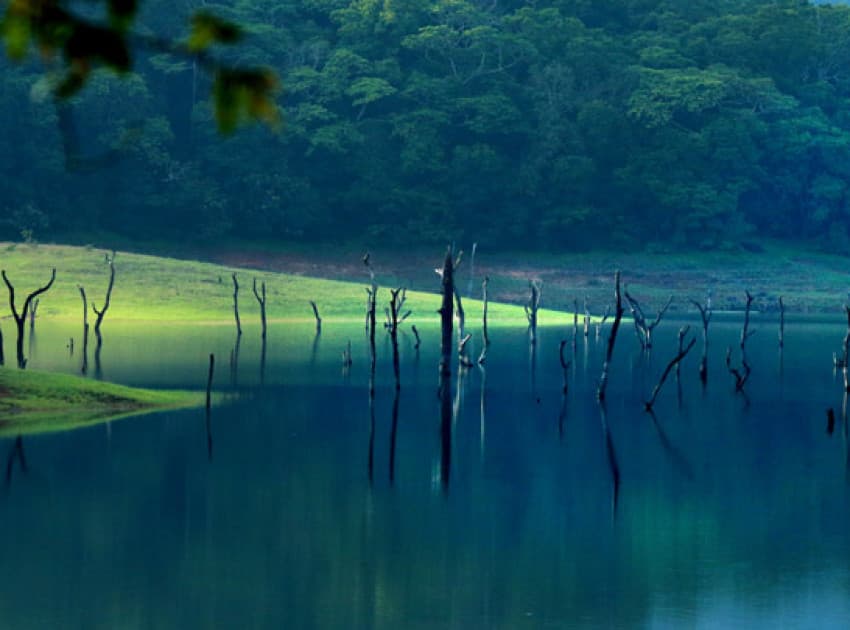 Find Hotels in Thekkady