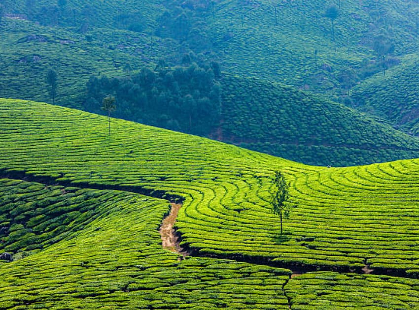 Find Hotels in Theni