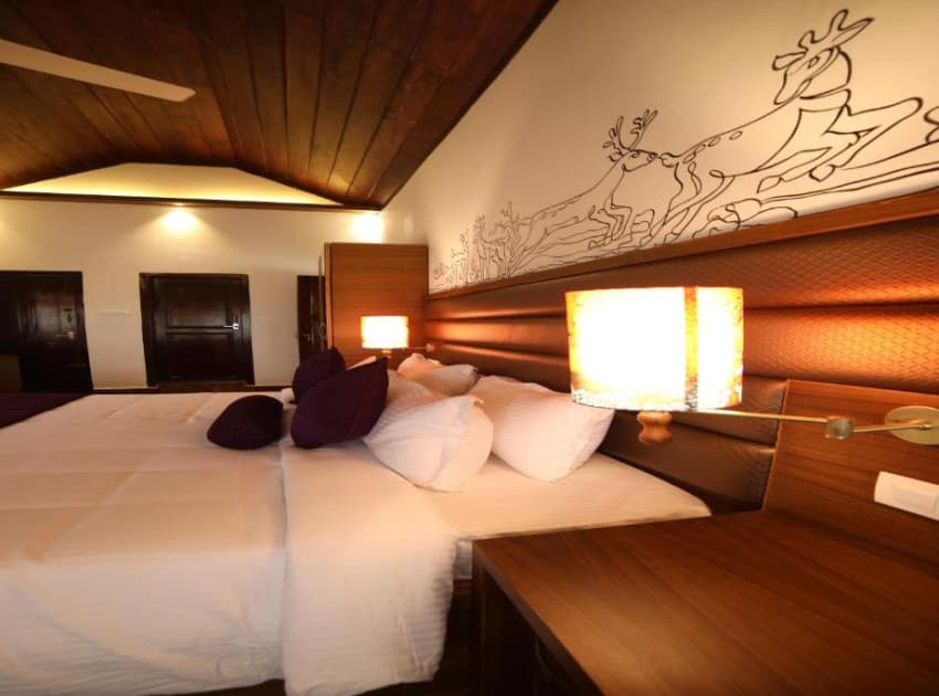 Book Superior Room room in Wayanad
