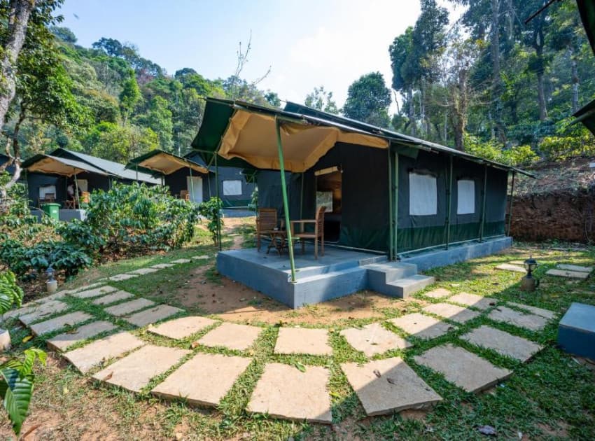 Book Premium Tented King Room room in Coorg