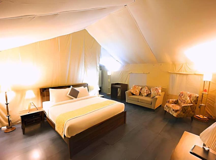 Book Premium Tented King Room room in Coorg