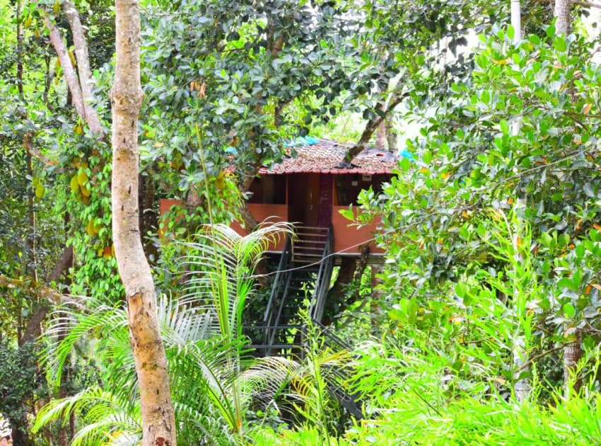 The Brook Resorts & Spa - Image 3
