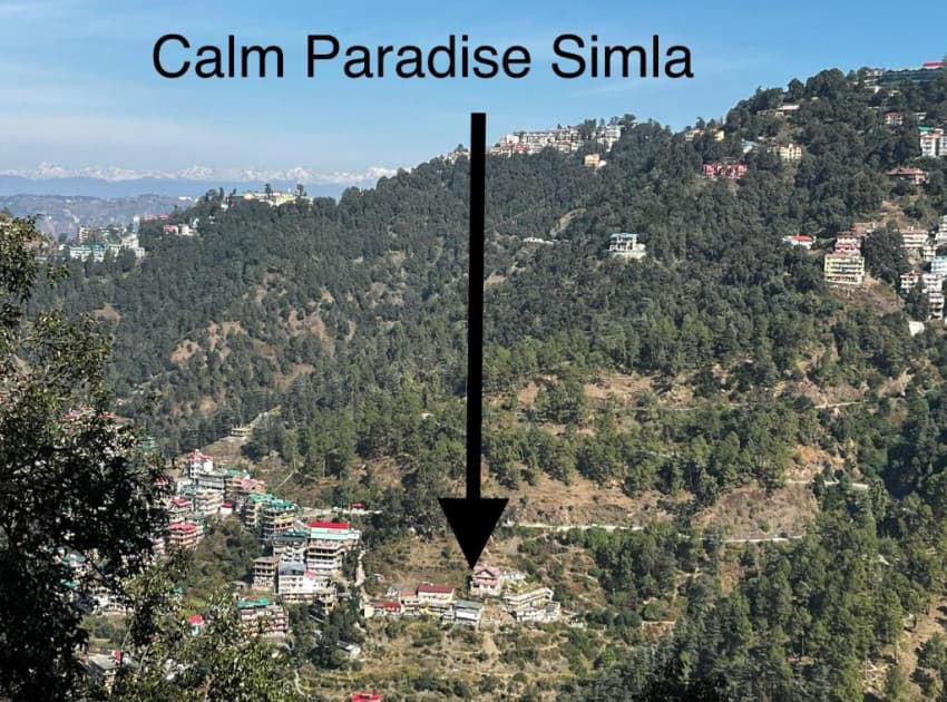 Book Calm Paradise in Shimla